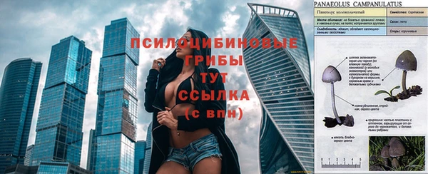 хмурый Абинск