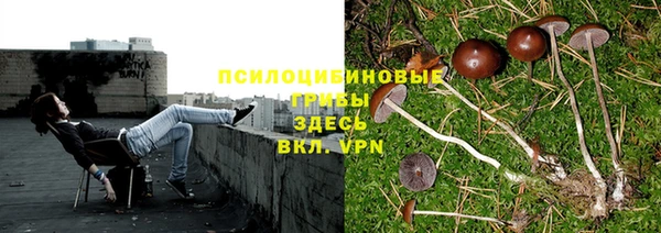 эйфоретик Абдулино