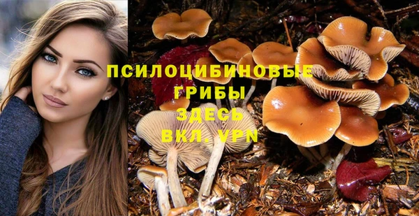 COCAINE Абаза